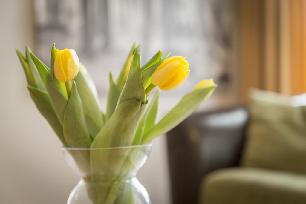Saaresalu City Center Apartment Pärnu Kültér fotó